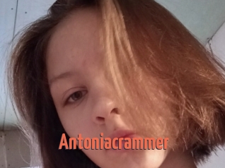 Antoniacrammer