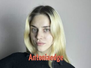 Antoniaedge
