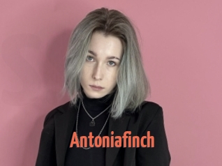 Antoniafinch