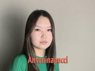 Antoninapucci