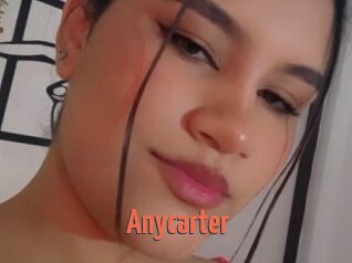 Anycarter