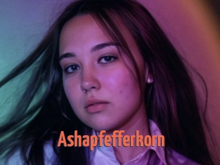 Ashapfefferkorn