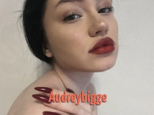 Audreybigge