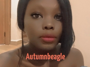 Autumnbeagle