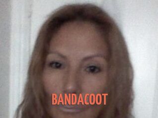 BANDACOOT