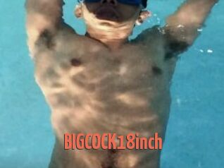 BIGCOCK18inch