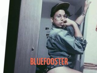 BLUEFOOSTER