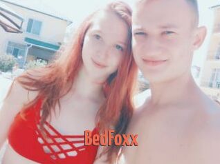 BedFoxx