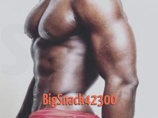 BigSnack42300