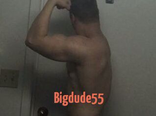Bigdude55