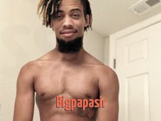 Bigpapasir