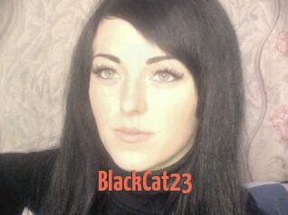 BlackCat23
