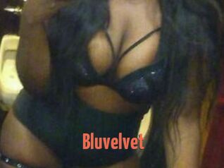 Bluvelvet