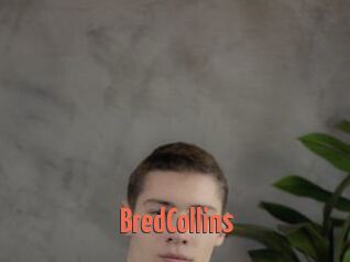 BredCollins
