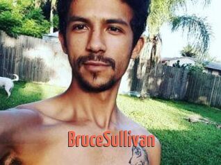 Bruce_Sullivan