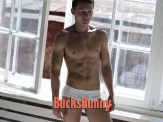 BucksBunny