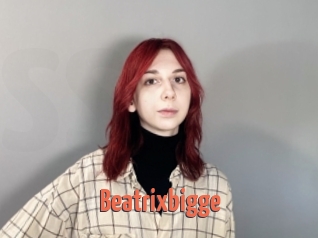 Beatrixbigge