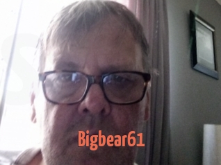 Bigbear61
