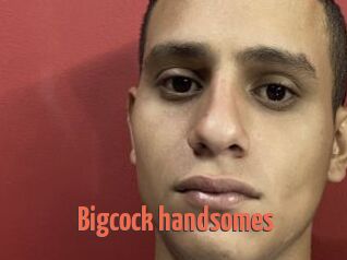 Bigcock_handsomes