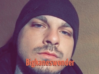 Bigkaneswonder