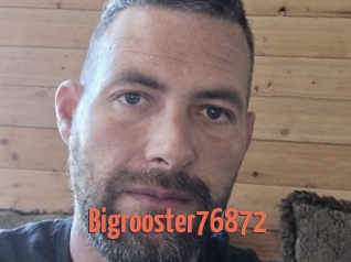 Bigrooster76872