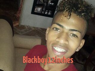 Blackboy12inches