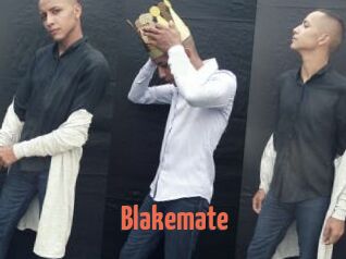 Blakemate