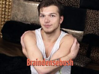 Braindensebush