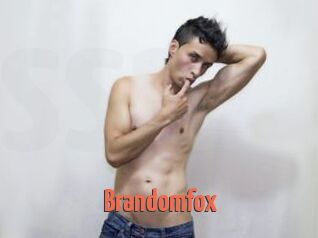 Brandomfox