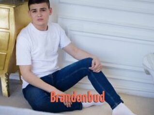 Brandonbud