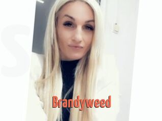 Brandyweed