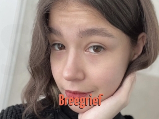 Breegrief