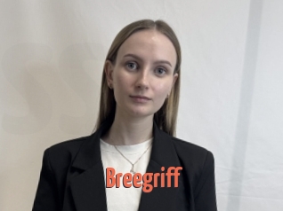 Breegriff