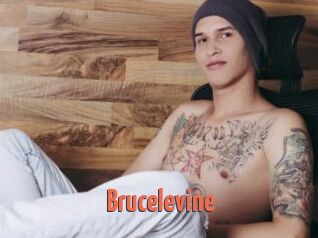 Brucelevine