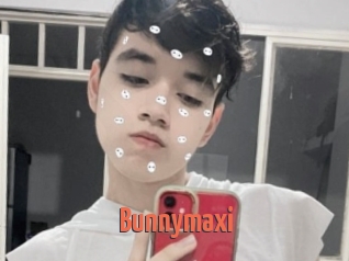 Bunnymaxi