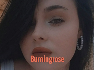 Burningrose