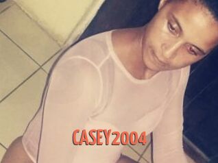 CASEY2004