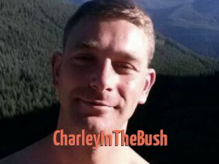 CharleyInTheBush