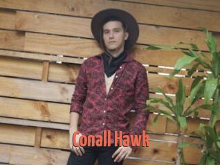 Conall_Hawk