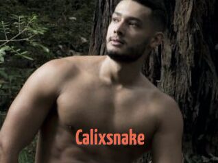 Calixsnake