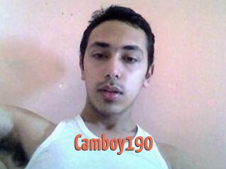 Camboy190