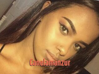 Canelamanzur
