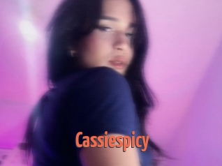 Cassiespicy