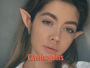 Caterinacollis