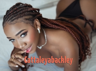 Cattaleyabackley