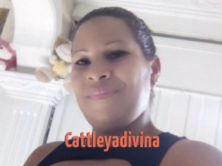 Cattleyadivina