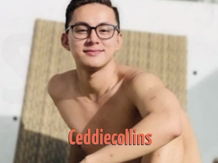 Ceddiecollins