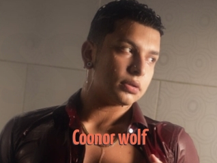 Coonor_wolf