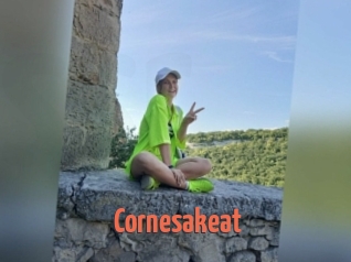 Cornesakeat