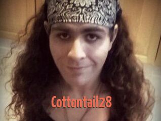 Cottontail28